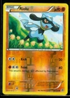 Riolu