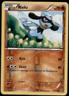 Riolu