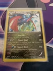 Salamence