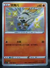 Scorbunny