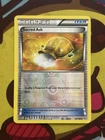 Sacred Ash