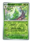 Metapod