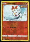 Scorbunny