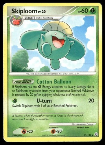 Skiploom