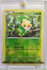 Sewaddle