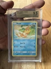 Buizel