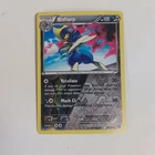 Pokemon Catcher
