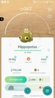 Hippopotas