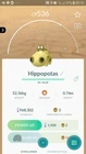 Hippopotas