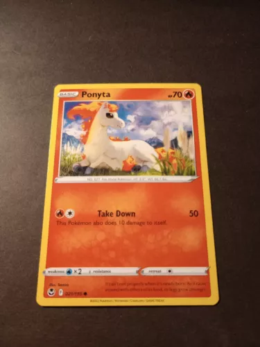 Ponyta