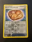 Unidentified Fossil