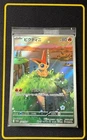 Victini