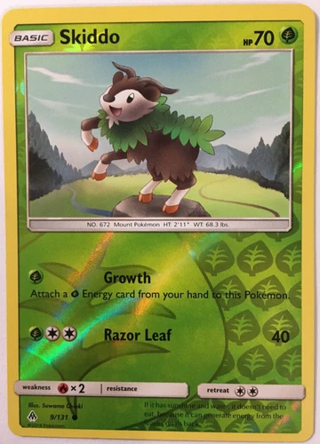 Skiddo