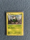 Skiddo