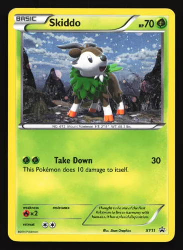 Skiddo
