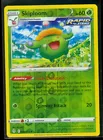 Skiploom