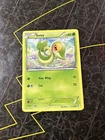 Snivy