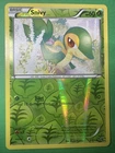 Snivy