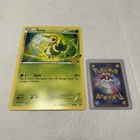 Snivy