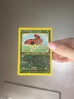 Ledyba