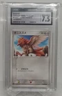Spearow