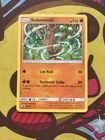 Sudowoodo