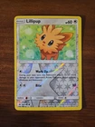 Lillipup