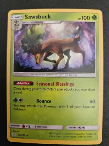 Sawsbuck