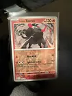 Paldean Tauros