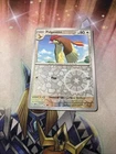 Pidgeotto