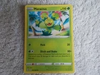 Maractus