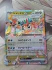 Paldean Tauros