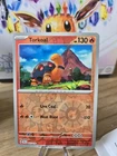 Torkoal