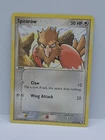 Spearow