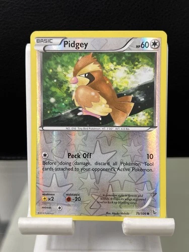 Pidgey