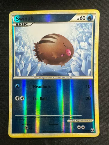 Swinub