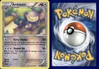 Ambipom