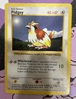 Pidgey