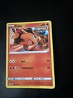 Tepig