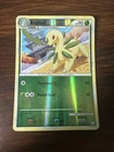 Bayleef