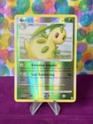 Bayleef