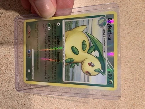 Bayleef