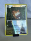Bidoof