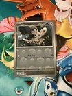 Minccino