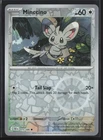 Minccino