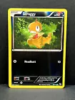 Scraggy