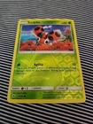 Ledyba