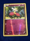 Flabebe