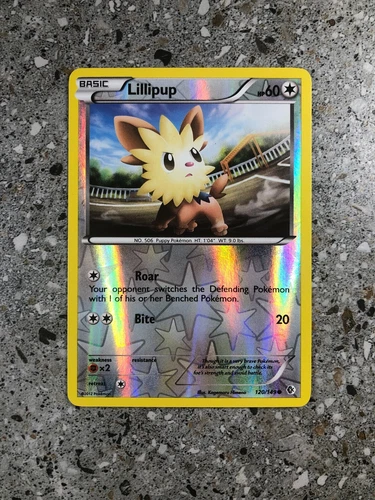 Lillipup
