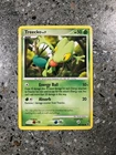 Treecko